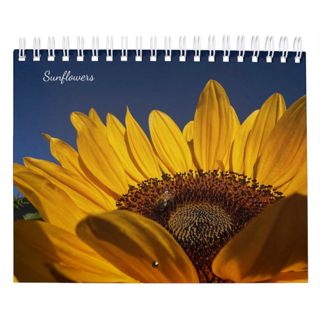 Calendário Girassóis (2ª edição) (Capa)