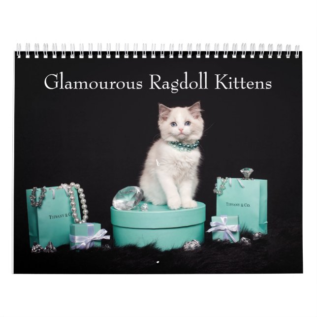Calendário Glamorous Ragdoll Kittens (Capa)