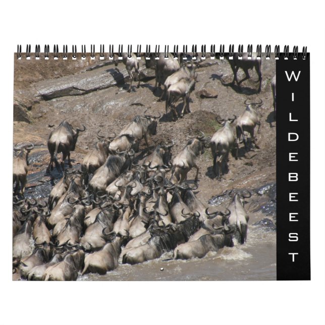 Calendário gnu 2026 (Capa)