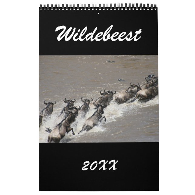Calendário gnu áfrica (Capa)