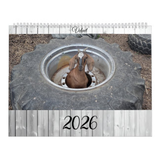 Calendário Goats of 2026 calendar