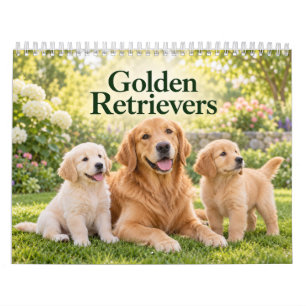 Calendário Golden Retrievers e Filhotes