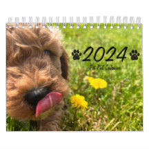Calendário Goldendoodle Puppy 2024