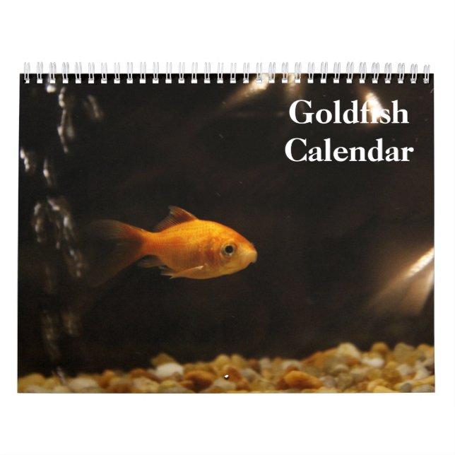 Calendário Goldfish 2025 (Capa)