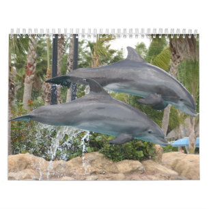 Calendário golfinhos
