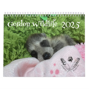 Calendário Gordon Wildlife Raccoon 2025