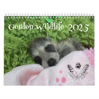 Calendário Gordon Wildlife Raccoon 2025