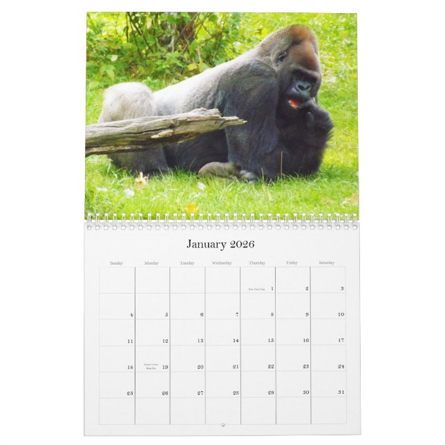 Calendário Gorila da planície do jardim zoológico de Kansas (Jan 2026)