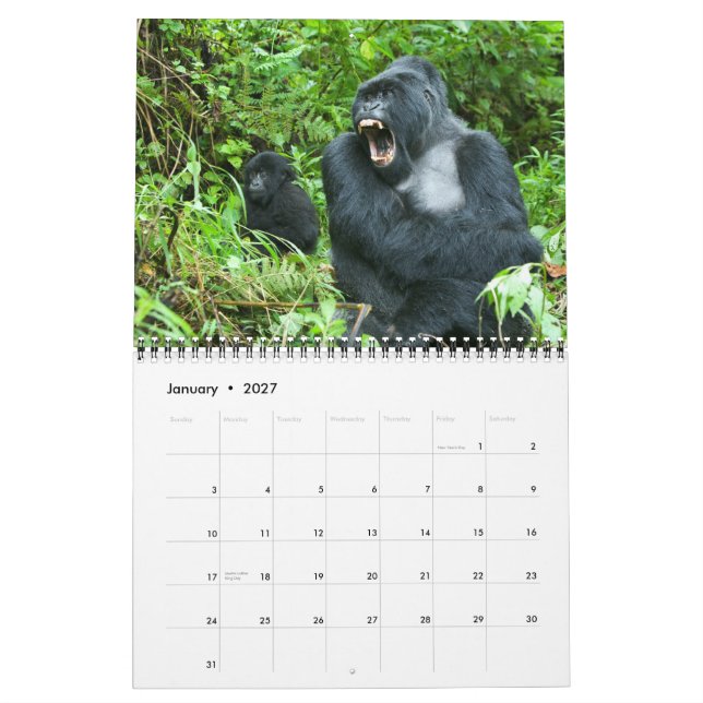 Calendário - gorila de montanha de Rwanda (Jan 2027)