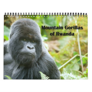 Calendário - gorila de montanha de Rwanda