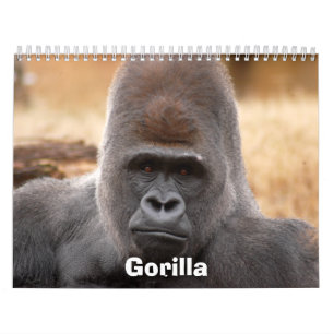 Calendário Gorilla_018, gorila