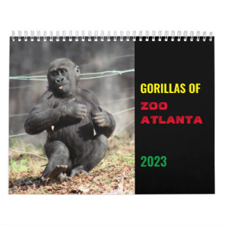 Calendário Gorillas of Zoo Atlanta 2023 Calendar