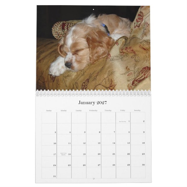 Calendário Gracie e Riley (Jan 2027)