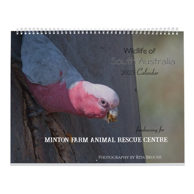 Calendário grande chamador 24 (Capa)