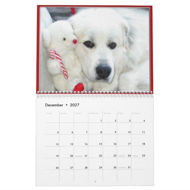 Calendário Great Pyrenees Calendar (Dez 2027)
