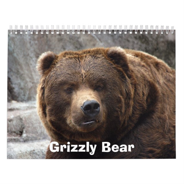 Calendário grizzly-bear-017, urso de urso (Capa)