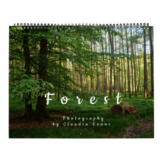 Calendário Grüner Wald (Capa)