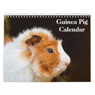 Calendário Guiné Pig 2022