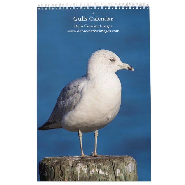 Calendário Gulls 2026 (Capa)
