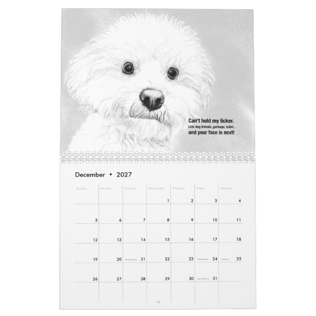 Calendário Haiku 2021 (Dez 2027)