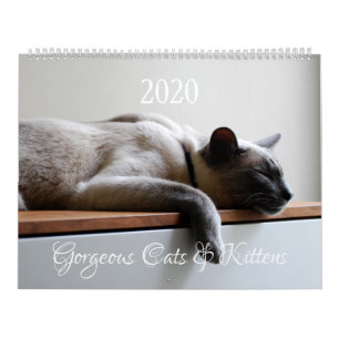 Calendário HAMbyWG - 2020 Gatos Lindos