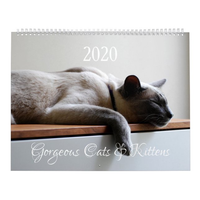 Calendário HAMbyWG - 2020 Gatos Lindos (Capa)