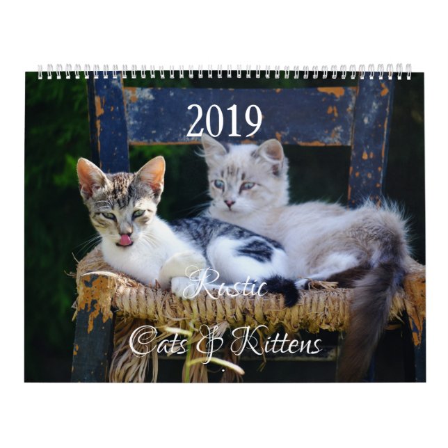 Calendário HAMbyWG - Gatos e Gatinhos Russos (Capa)