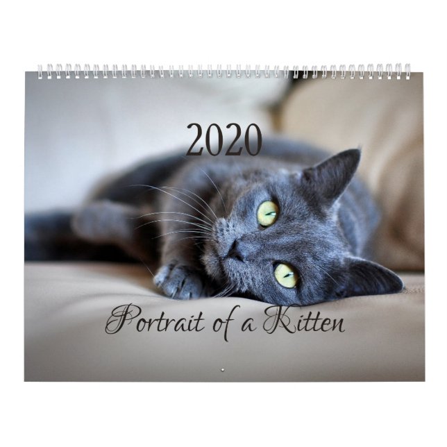 Calendário HAMbyWG- Retrato de um Gatinho (Capa)