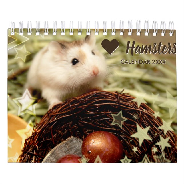 Calendário Hammyville - estrelas claras (Capa)