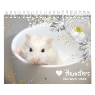 Calendário Hammyville - Hamster Bonito de Motivação com Flo
