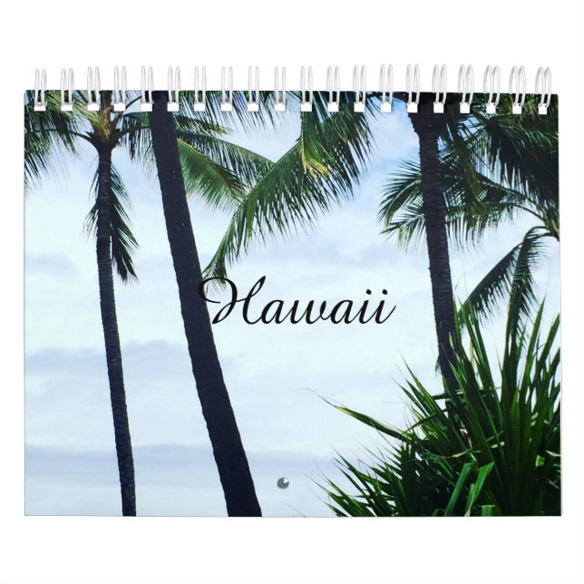 Calendário Havaí (Capa)
