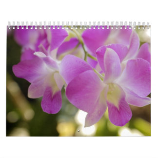 Calendário havaiano da flor & da orquídea