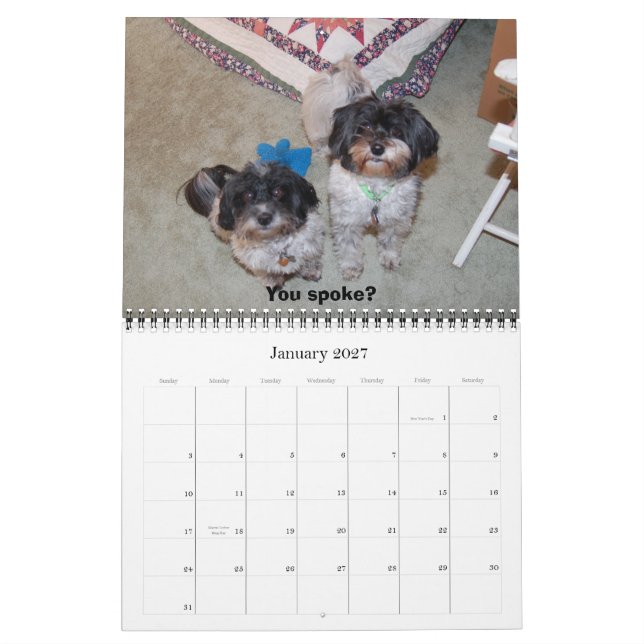 Calendário Havanese 2009 (Jan 2027)