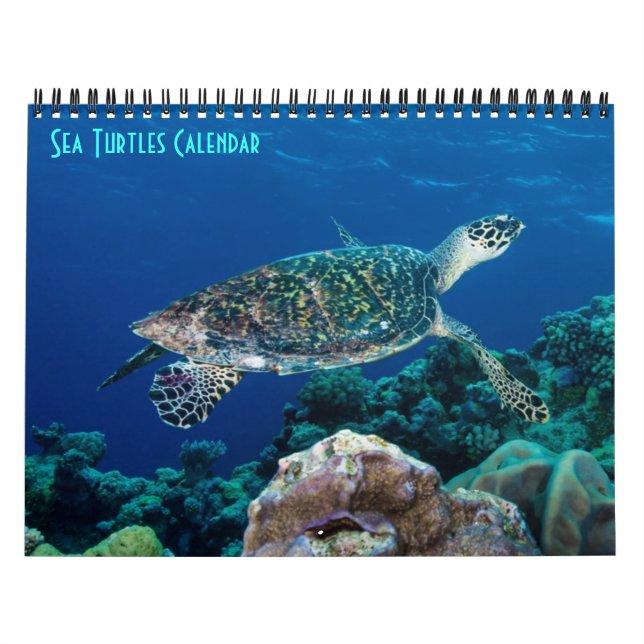 Calendário Hawksbill Mar de Tartaruga Excelente Barreira de R (Capa)