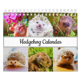 Calendário Hedgehog