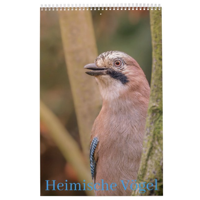 Calendário Heimische Vögel Kalender (Capa)