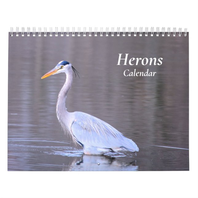 Calendário Herons (Capa)