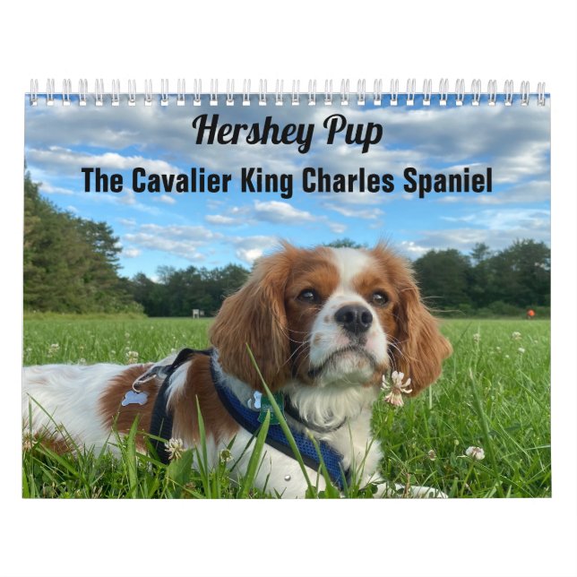 Calendário Hershey Pup Cavalier King Charles Spaniel Calendar (Capa)