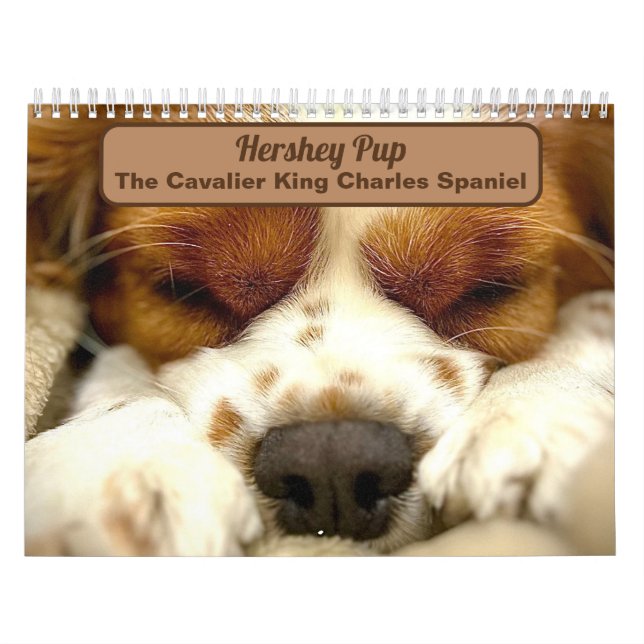 Calendário Hershey Pup Cute Cavalier King Charles Calendar (Capa)