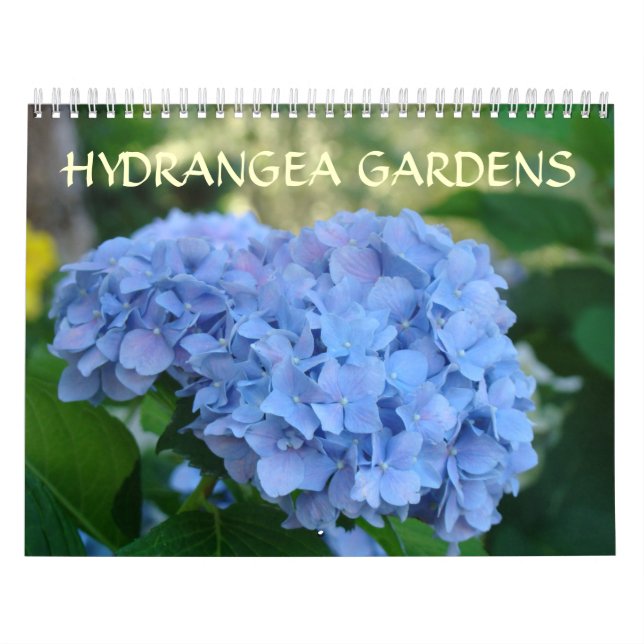 Calendário HIDRANGEA JARDINS Calendário Azul Hídra (Capa)