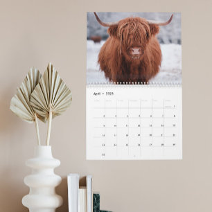 Calendário Highland Fazenda Animal Scotland Todos os anos