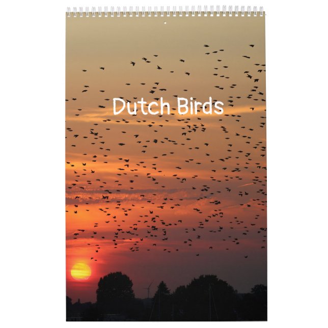 Calendário Hollandse vogels Kalender aan te passen (Capa)