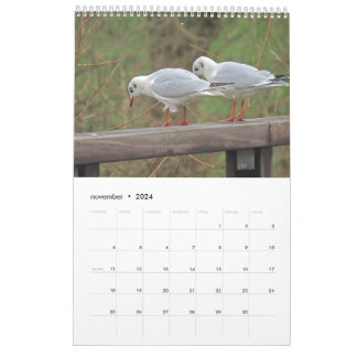 Calendário Hollandse vogels Kalender aan te passen