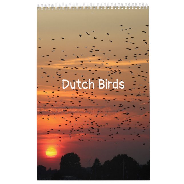 Calendário Hollandse vogels Kalender aan te passen (Capa)