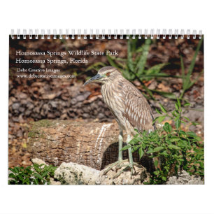 Calendário Homosassa Primaveras Wildlife Park 2024