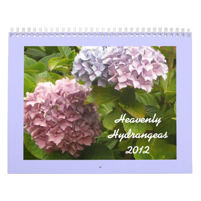 Calendário Hortênsias Celestiais 2012 (Capa)