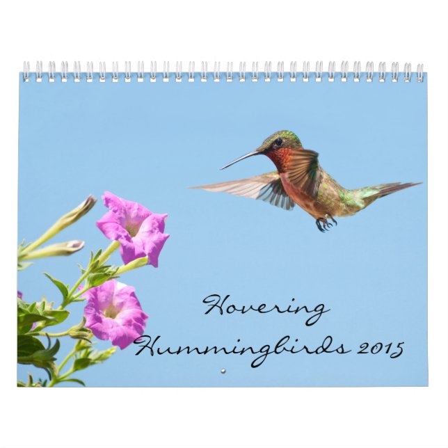 Calendário Hovering Hummingbird 2015 (Capa)