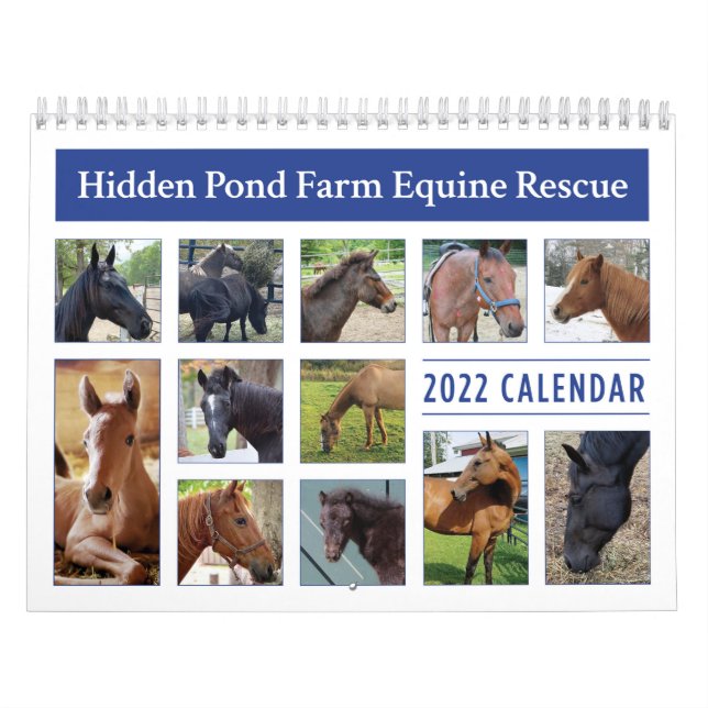 Calendário HPF 2022 - 8,5x11 polegadas (Capa)