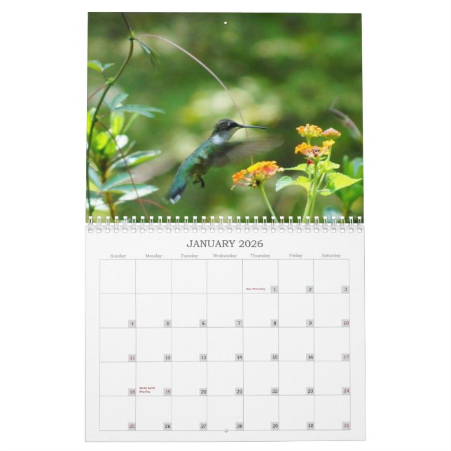 Calendário Humm comigo! (Jan 2026)