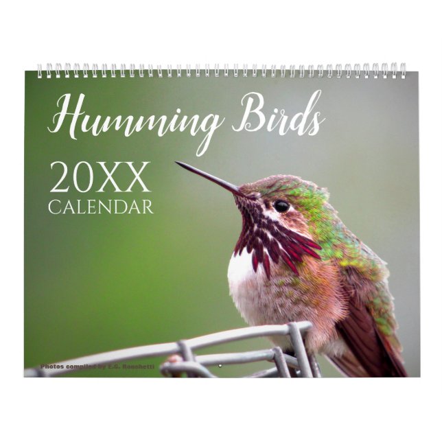 Calendário Humming Bird Calendar Nature Wildlife Photos (Capa)